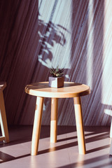 Cactus wood,cactus on wood Still Life Cactus Plants on Vintage.Modern Interior.White Living Room.