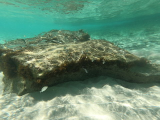 Unterwasser schnorcheln im Meer mit Actioncam