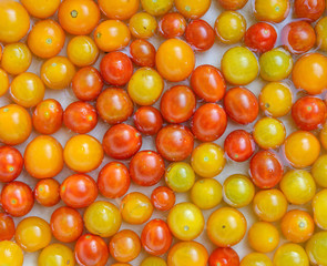 Many bright cherry tomato fruits as natural background.