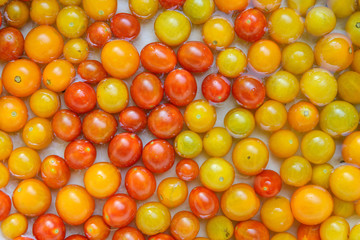 Many bright cherry tomato fruits as natural background.