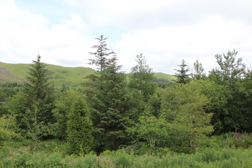 Nature Landscape Background