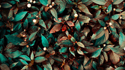 Surrealist colored leaves 