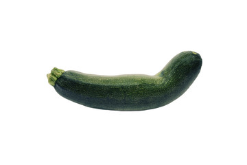 A curved thick zucchini, intense green smooth texture, isolated on white. Front shot.
