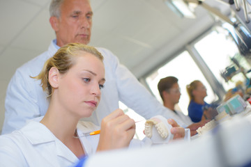 Fototapeta premium Dentist student