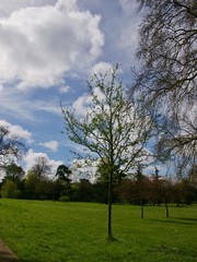 Parc de Bagatelle/Paris,France