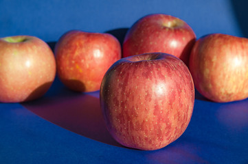 Ripe apples on a blue background