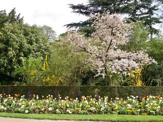 Parc de Bagatelle/Paris,France