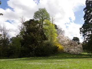 Parc de Bagatelle/Paris,France