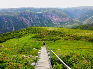 A young male hiker descending down a long staircase from Gros Morne Mountain, in Gros Morne...