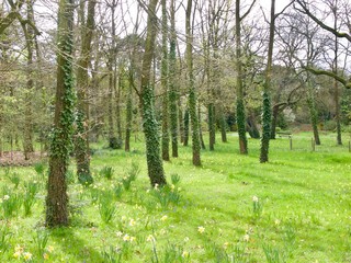 Obraz premium Parc de Bagatelle/Paris,France