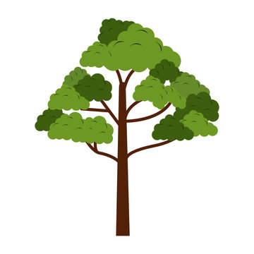 Tree nature symbol vector illustration graphic design