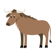 Buffalo wild animal vector illustration graphic design