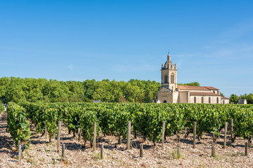 Fototapeta na wymiar MEDOC (Gironde, France), vignoble et église de Margaux