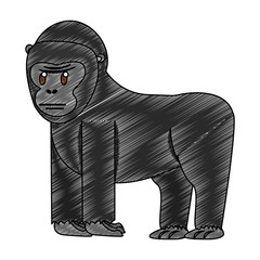 Ape wild animal vector illustration graphic design