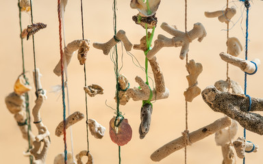 Vintage sea sponge and exotic shells hanging on the rope