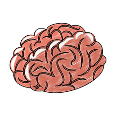 Human brain cartoon vector illustration graphic design