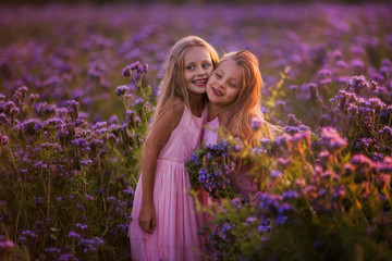 Two beautiful girls with long hair in a blooming field at sunset
