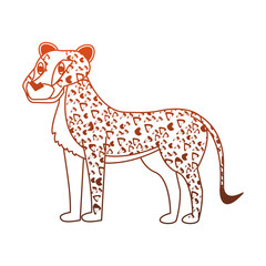 Leopard wild animal vector illustration graphic design