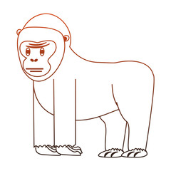 Ape wild animal vector illustration graphic design