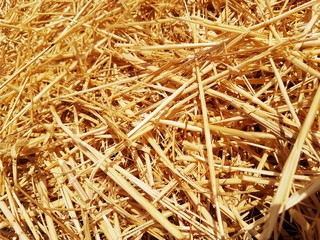 Straw as texture and background