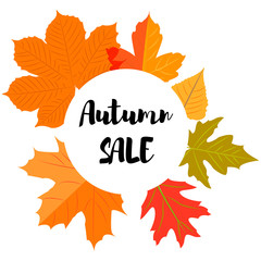 Set of autumn yellow leaves and circular emblem with text autumn sale