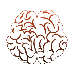 Human brain cartoon vector illustration graphic design