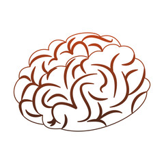 Human brain cartoon vector illustration graphic design