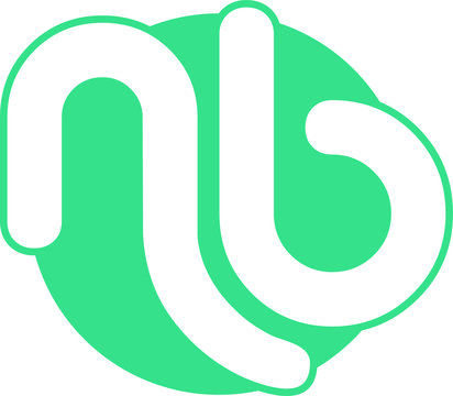nb icon logo