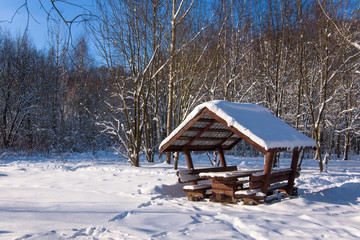 Gazebo in frozen forest