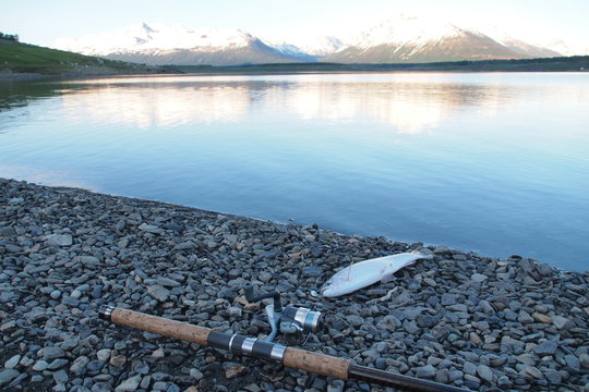 Trout Fishing In Patagonia With Andes Mountains, Lago Roca, Near El Calafate, Argentina