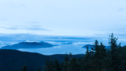 Fototapeta premium blue morning