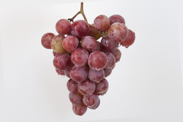 wet bunch of grapes