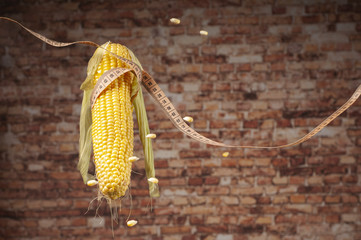 kolba kukurydzy pomiar centymetrem krawieckim - obrazy, fototapety, plakaty