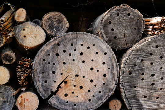 Bienenstock f&uuml;r Wildbienen