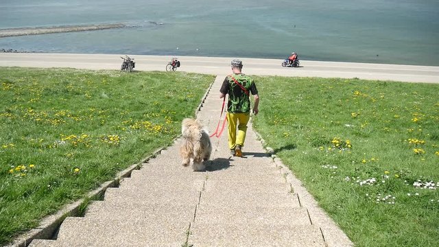 Uomo scende la scala con il cane al mare