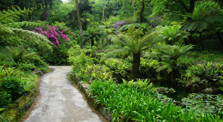 jardin de Sintra