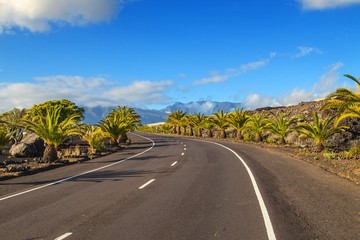 Strasse auf La Palma umsäumt von Plamen und im Hintergrund Berge vulkanischen Urpsungs