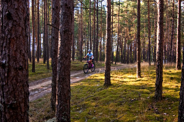 Cycling in the forest