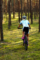 Cycling in the forest