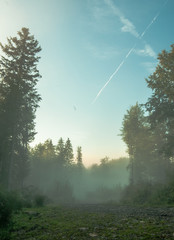 Fog in the forest, blue sky with lines of the plane, Carpathian mountains