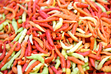 Chilli that is placed in the tray for sale on the market have used several kinds of spicy cooking Songkhla Thailand