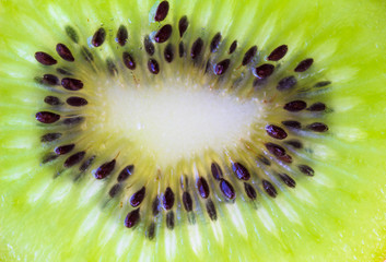 Kiwi fruit slice background - close up macro photo
