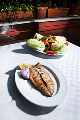 Mackerel fish and green salad