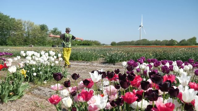 Campi di tulipani in Olanda con uomo felice