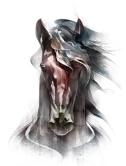 painted colored horse portrait isolated in front © khius