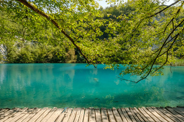 View of wood path over green lake in forest. Plitvice Lakes National Park, Croatia.