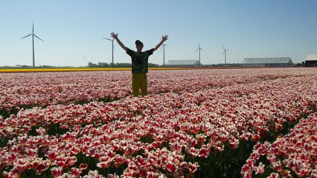 Campi di tulipani in Olanda con uomo felice