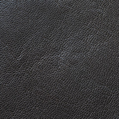 leather texture background