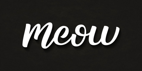 Vector isolated handwritten lettering Meow logo with grunge texture for decoration and covering on the dark background. Concept of cat quote and pet shop.