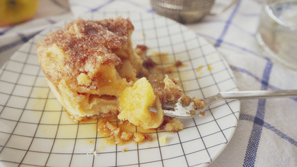 Homemade Apple cake ,bite a cake, piece of cake, close up/OLYMPUS DIGITAL CAMERA